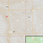 US Forest Service - Topo Dog Springs, NM FSTopo Legacy digital map