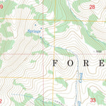 US Forest Service - Topo Dollarhide Mountain, ID FSTopo Legacy digital map