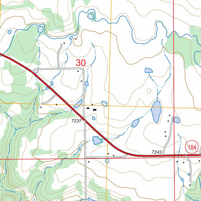 US Forest Service - Topo Dolores East, CO FSTopo Legacy digital map