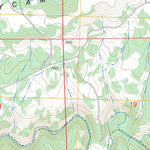 US Forest Service - Topo Dolores East, CO FSTopo Legacy digital map