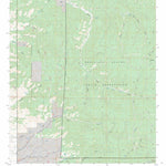 US Forest Service - Topo Domingo Peak, NM FSTopo Legacy digital map