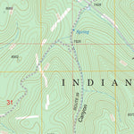 US Forest Service - Topo Domingo Peak, NM FSTopo Legacy digital map