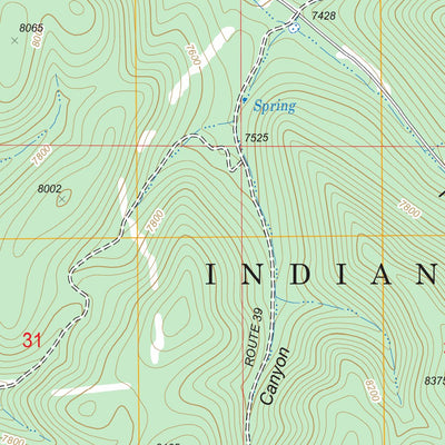 US Forest Service - Topo Domingo Peak, NM FSTopo Legacy digital map