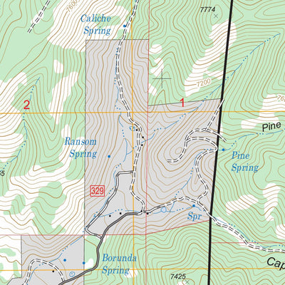 US Forest Service - Topo Domingo Peak, NM FSTopo Legacy digital map