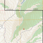US Forest Service - Topo Donkey Hills NW, ID FSTopo Legacy digital map