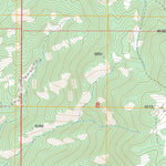 US Forest Service - Topo Donnelly, ID FSTopo Legacy digital map