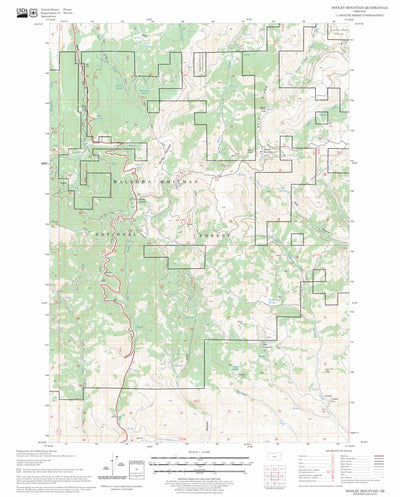 US Forest Service - Topo Dooley Mountain, OR FSTopo Legacy digital map