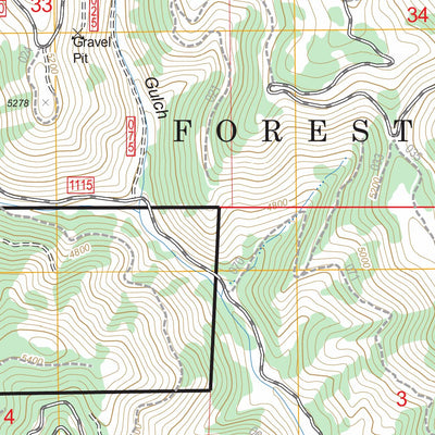 US Forest Service - Topo Dooley Mountain, OR FSTopo Legacy digital map