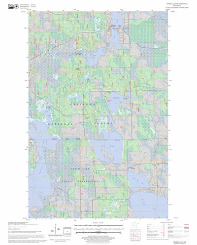 US Forest Service - Topo Dora Lake, MN FSTopo Legacy digital map