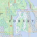 US Forest Service - Topo Dora Lake, MN FSTopo Legacy digital map
