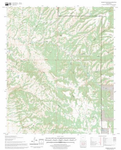 US Forest Service - Topo Dorsey Ranch, NM FSTopo Legacy digital map
