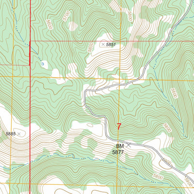 US Forest Service - Topo Dorsey Ranch, NM FSTopo Legacy digital map