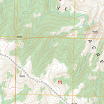 US Forest Service - Topo Dorsey Ranch, NM FSTopo Legacy digital map