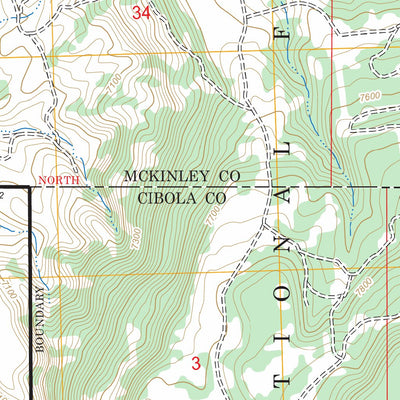 US Forest Service - Topo Dos Lomas, NM FSTopo Legacy digital map