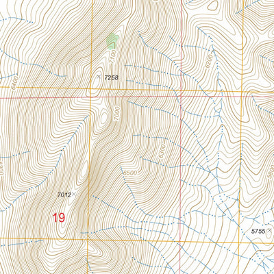 US Forest Service - Topo Douglas, NV FSTopo Legacy digital map
