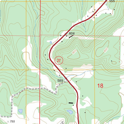 US Forest Service - Topo Dover, AR FSTopo Legacy digital map