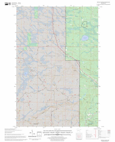 US Forest Service - Topo Doyle Lake, MN FSTopo Legacy digital map