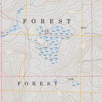 US Forest Service - Topo Doyle Lake, MN FSTopo Legacy digital map