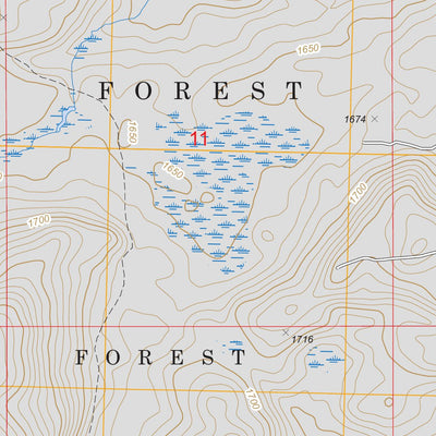 US Forest Service - Topo Doyle Lake, MN FSTopo Legacy digital map