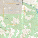 US Forest Service - Topo Drake Peak, OR FSTopo Legacy digital map