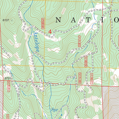 US Forest Service - Topo Drews Gap, OR FSTopo Legacy digital map