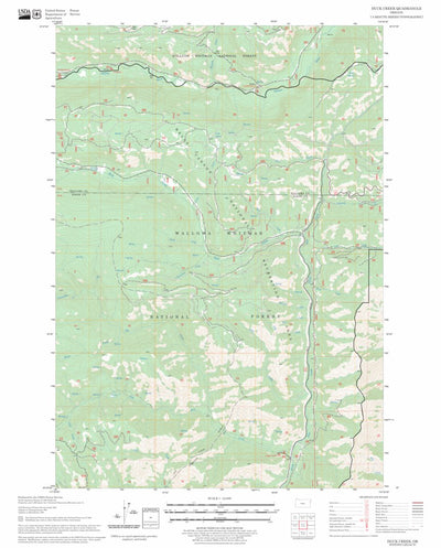 US Forest Service - Topo Duck Creek, OR FSTopo Legacy digital map