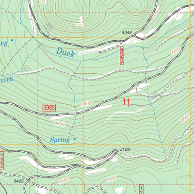 US Forest Service - Topo Duck Creek, OR FSTopo Legacy digital map