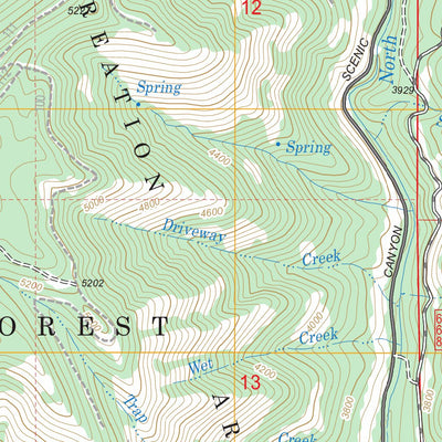 US Forest Service - Topo Duck Creek, OR FSTopo Legacy digital map