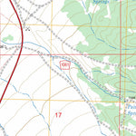 US Forest Service - Topo Duck Creek Valley, NV FSTopo Legacy digital map