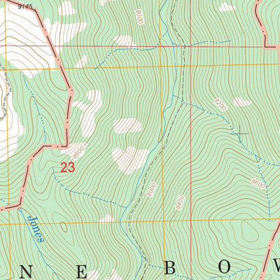 US Forest Service - Topo Dudley Creek, WY - CO FSTopo Legacy digital map