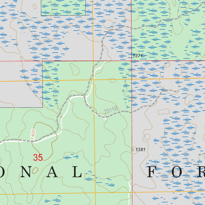US Forest Service - Topo Dunbar Lake, TX FSTopo Legacy digital map
