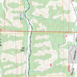 US Forest Service - Topo Duncan, OR FSTopo Legacy digital map