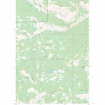 US Forest Service - Topo Duncan Ridge, WA FSTopo Legacy digital map