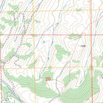 US Forest Service - Topo Dunckley, CO FSTopo Legacy digital map