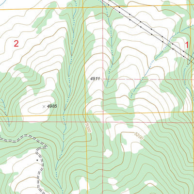 US Forest Service - Topo Dunkleberg Creek, MT FSTopo Legacy digital map