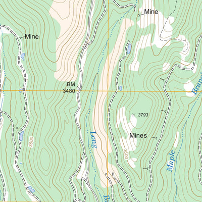US Forest Service - Topo Duo, WV FSTopo Legacy digital map