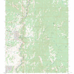 US Forest Service - Topo Durrwood Creek, CA FSTopo Legacy digital map