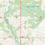 US Forest Service - Topo Dutch Blue Creek, AZ FSTopo Legacy digital map