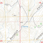 US Forest Service - Topo Dwyer, NM FSTopo Legacy digital map