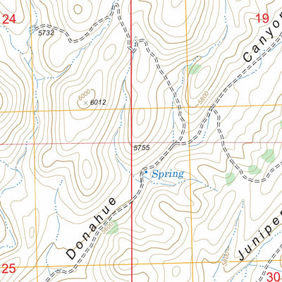 US Forest Service - Topo Dwyer, NM FSTopo Legacy digital map