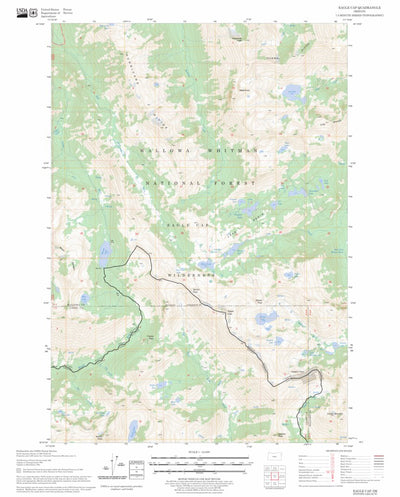 US Forest Service - Topo Eagle Cap, OR FSTopo Legacy digital map
