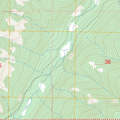 US Forest Service - Topo Eagle Creek, WY FSTopo Legacy digital map