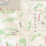 US Forest Service - Topo Eagle Eye Peak, NM FSTopo Legacy digital map