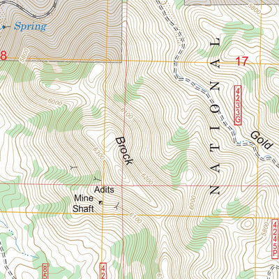 US Forest Service - Topo Eagle Eye Peak, NM FSTopo Legacy digital map