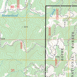 US Forest Service - Topo Eagle Nest, ID FSTopo Legacy digital map