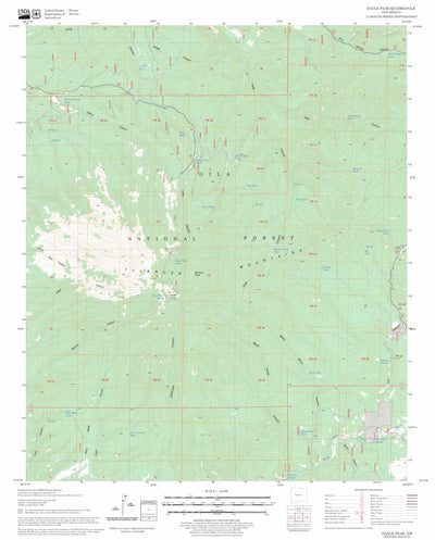 US Forest Service - Topo Eagle Peak, NM FSTopo Legacy digital map