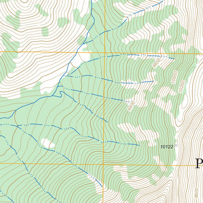 US Forest Service - Topo Eagle Peak, WY FSTopo Legacy digital map