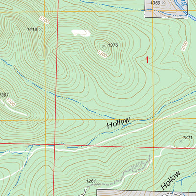 US Forest Service - Topo Eagle Rock, MO FSTopo Legacy digital map