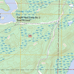 US Forest Service - Topo Eagles Nest, MN FSTopo Legacy digital map
