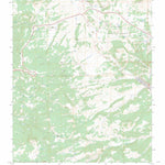 US Forest Service - Topo East Gavilan Canyon, NM FSTopo Legacy digital map